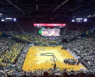 Matthew Knight Arena