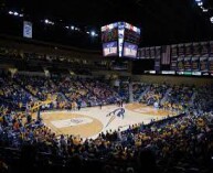 Savage Arena