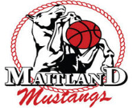 Maitland Basketball Association