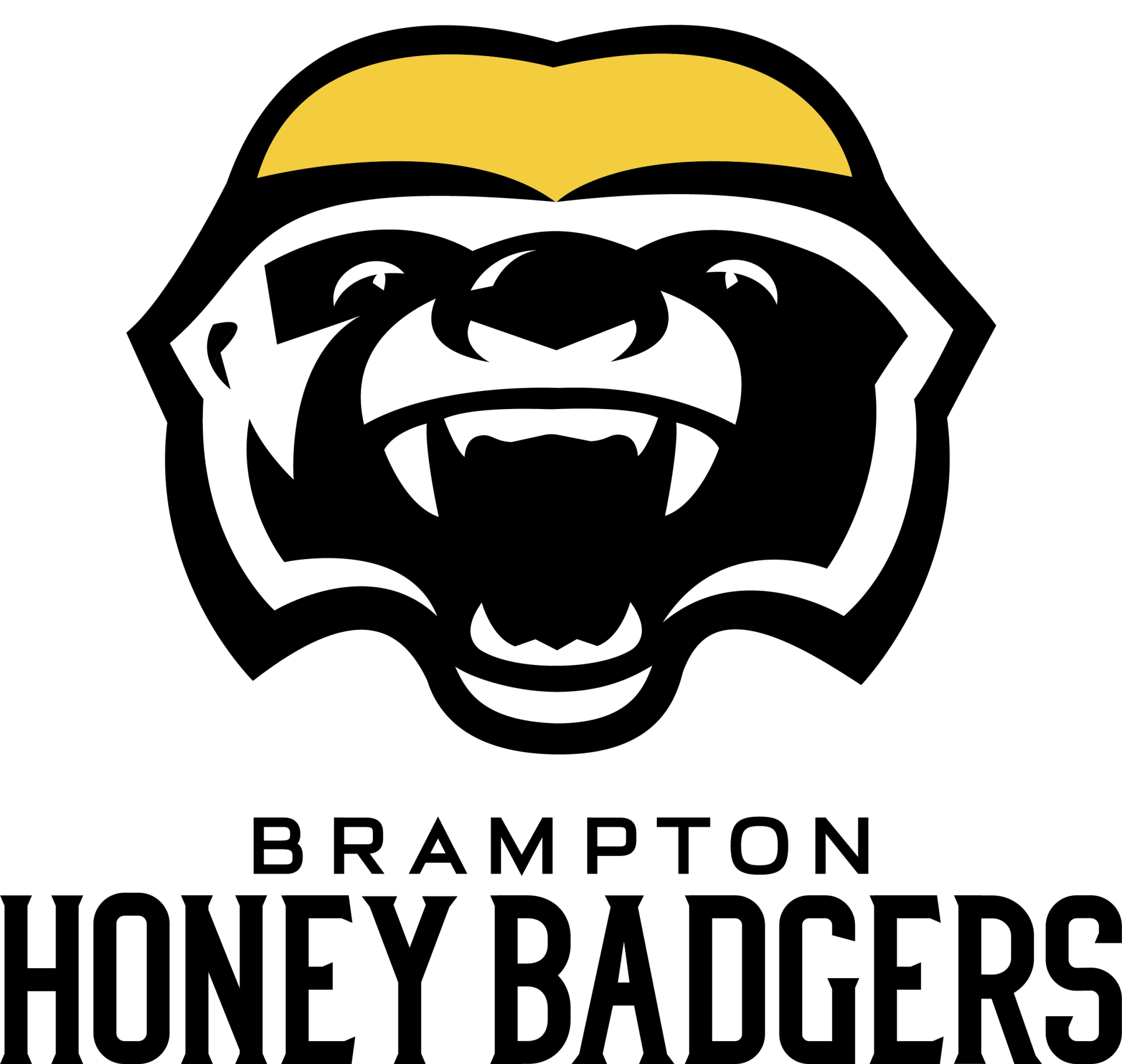 Команда Brampton Honey Badgers   0 игр