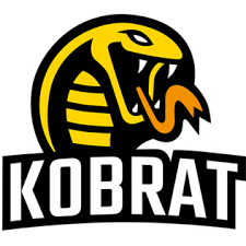 Команда Kobrat   0 игр