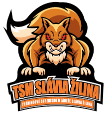 TSM Slavia Young Men Zilina