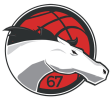 Leicester Riders