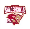 Zhejiang Golden Bulls