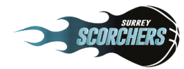   Surrey Scorchers команда играет в 0 играх в этом сезоне