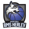 BMS Herlev Wolfpack