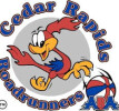   Cedar Rapids Roadrunners команда играет в 0 играх в этом сезоне