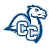   Connecticut College Camels команда играет в 0 играх в этом сезоне