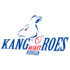 Kangoeroes Basket Mechelen