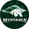   Morrisville State College Mustangs команда играет в 0 играх в этом сезоне