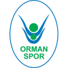 Ogm Ormanspor