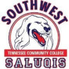   Southwest Tennessee команда играет в 0 играх в этом сезоне