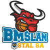Stal Ostrow Wielkopolski