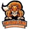   TSM Slavia Young Men Zilina команда играет в 0 играх в этом сезоне