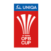   Austria Cup чемпионат